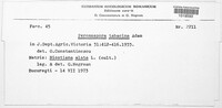 Image Associated With the Occurence